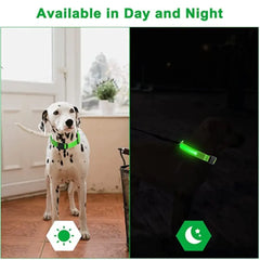 Glowing Dog Collar to go with your glowing mask