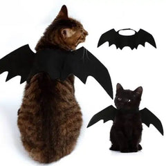 Batty Cat