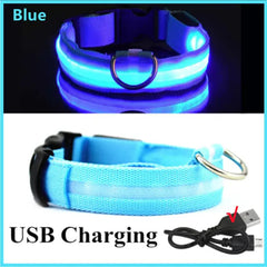 Glowing Dog Collar to go with your glowing mask