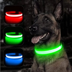 Glowing Dog Collar to go with your glowing mask