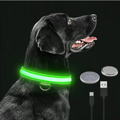 Glowing Dog Collar to go with your glowing mask